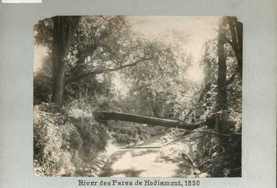 Two Children Walking Over a Fallen Tree Spanning a Small River in the Woods by Unknown